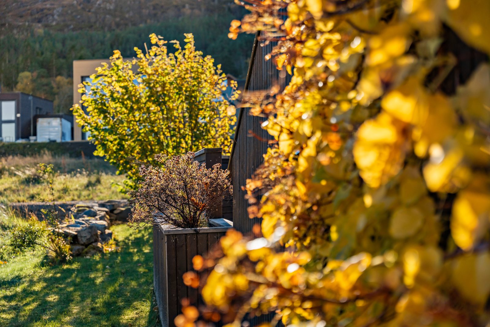 Legemarka 11 — property photograph 12