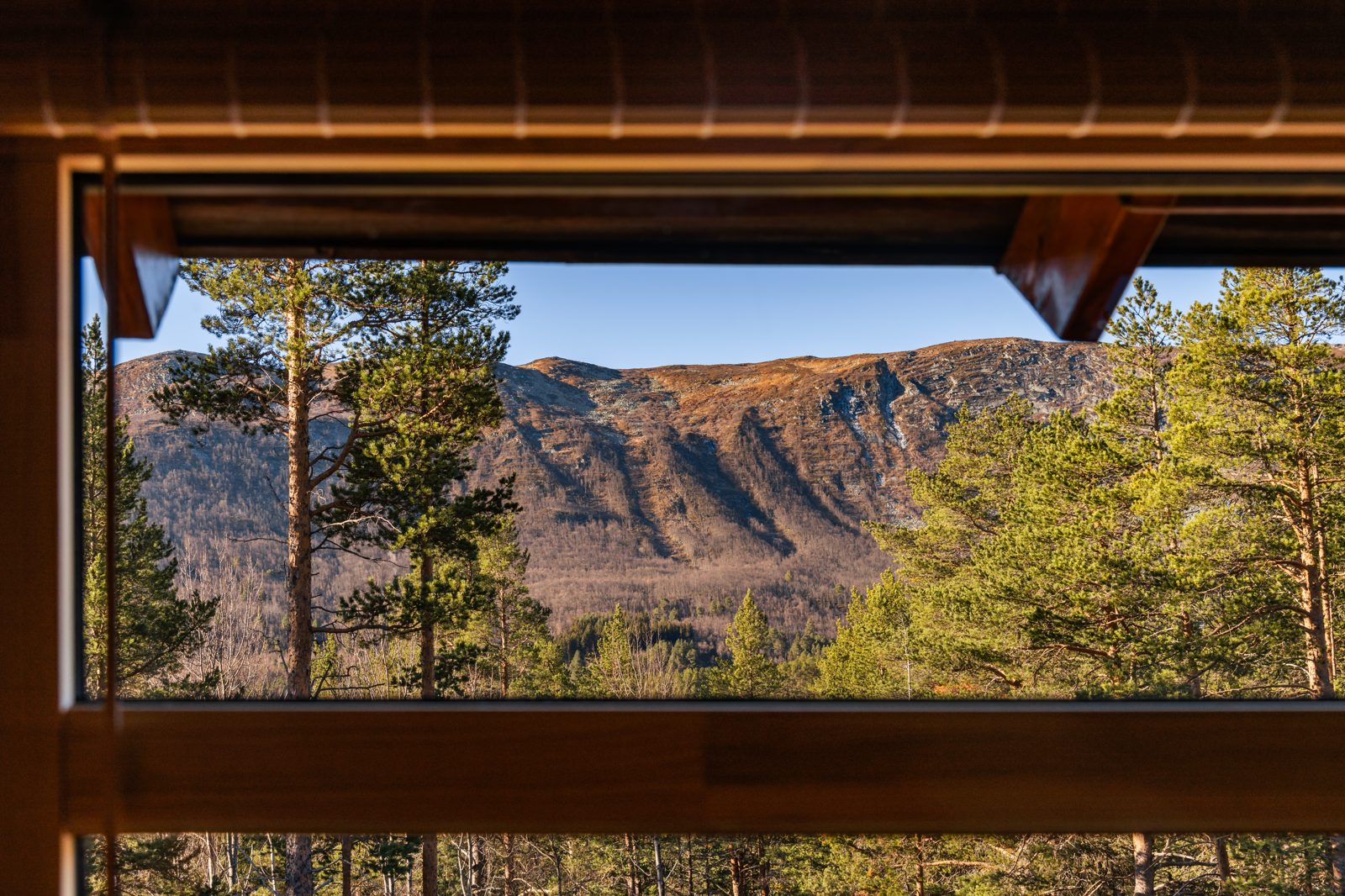 Sudendalen 43 — property photograph 14