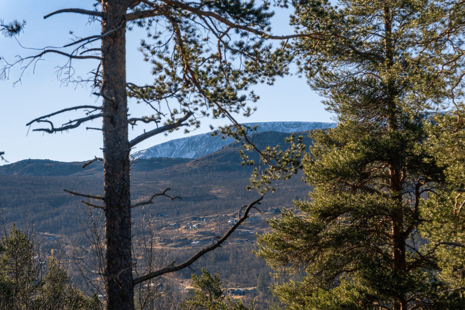 Sudendalen 43 — property photograph 16